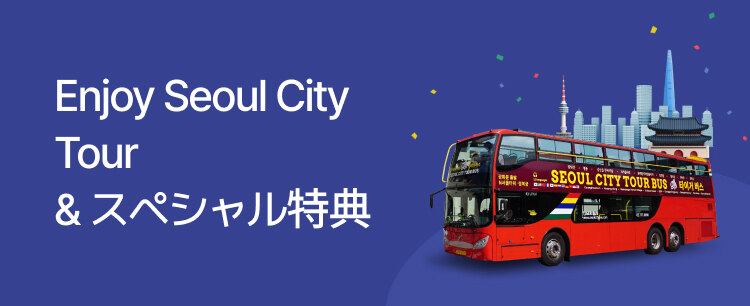 Enjoy Seoul City Tour